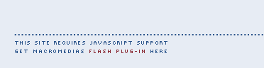 Javascript/Flash 5